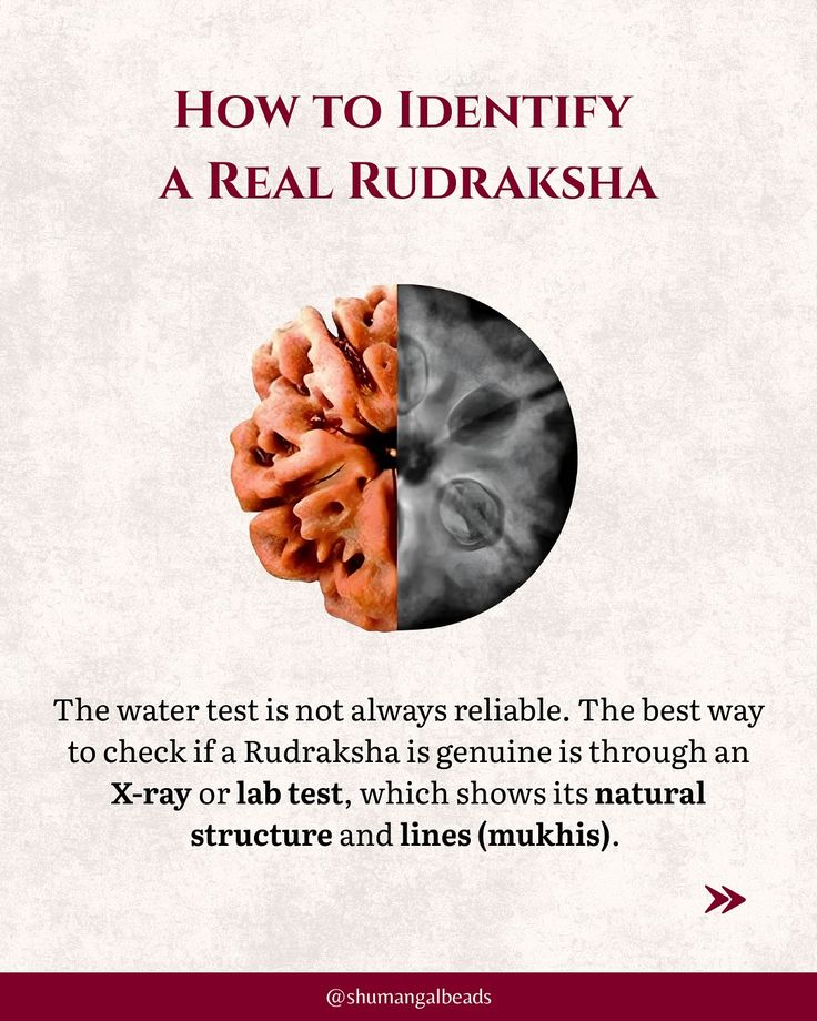 9 Mukhi Original Nepali Rudraksha – Durga Shakti & Protection