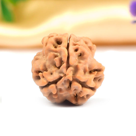 3 Mukhi Original Nepali Rudraksha – Stress Relief & Positivity