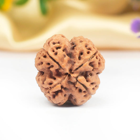 4 Mukhi Original Nepali Rudraksha – Intelligence & Wisdom